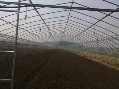 IMG_20131027_114118.jpg