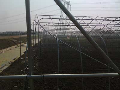 IMG_20131027_114148.jpg